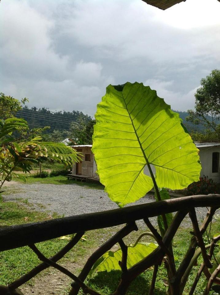 Hosteria Mindo Samay Juku Kültér fotó