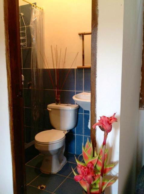 Hosteria Mindo Samay Juku Kültér fotó